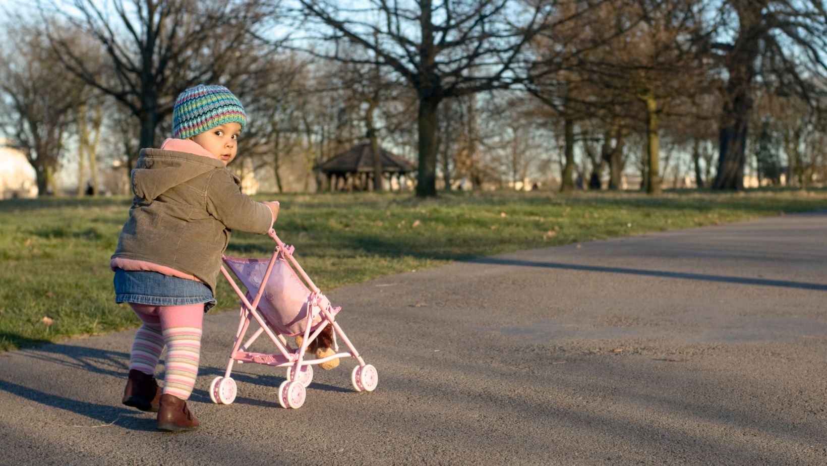 baby travel gear